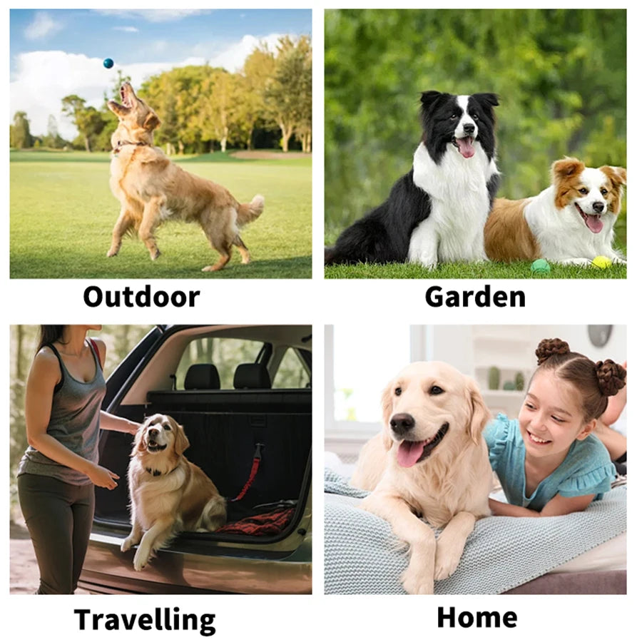 Pet cleaning gloves wipes