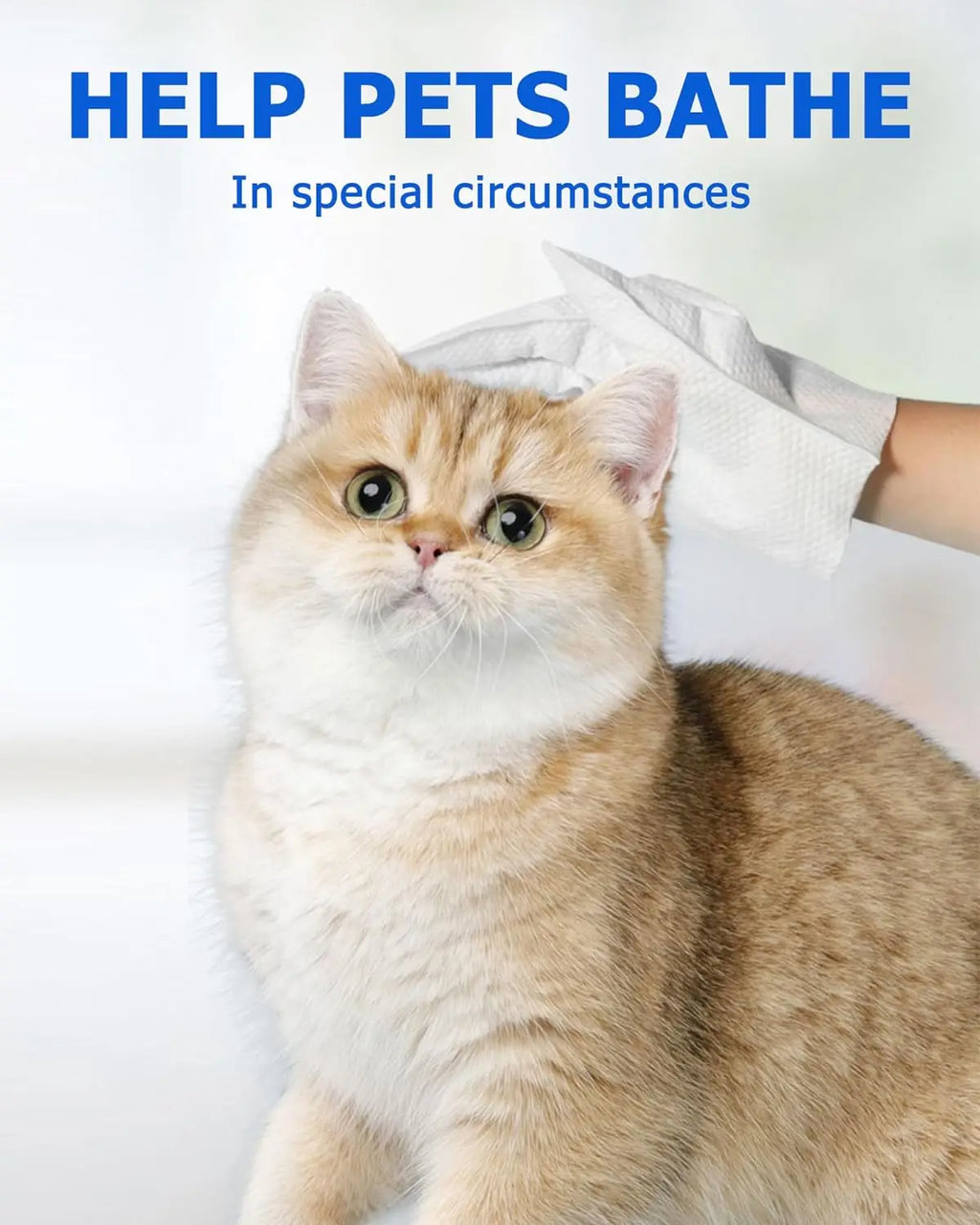 Pet cleaning gloves wipes