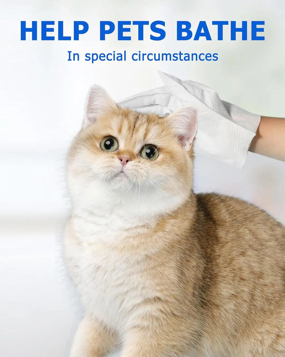 Pet cleaning gloves wipes